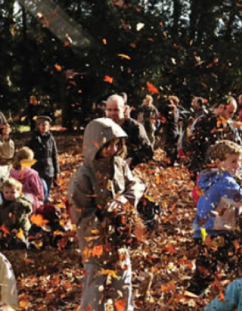 Fête des feuilles à la Tête d'Or