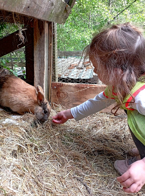 Graines de Fermiers : Lapin