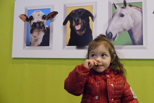 salon agriculture 2013