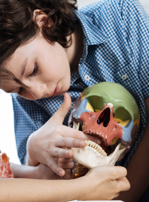 Fête de la science Strasbourg