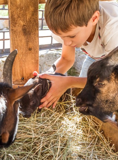 Top des fermes pédagogiques près de Lyon