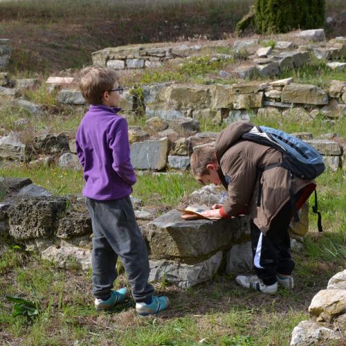 Musée Henri Prades et site archéologique de Lattara