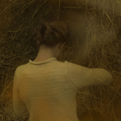 Poil de Carotte - Silvia Costa