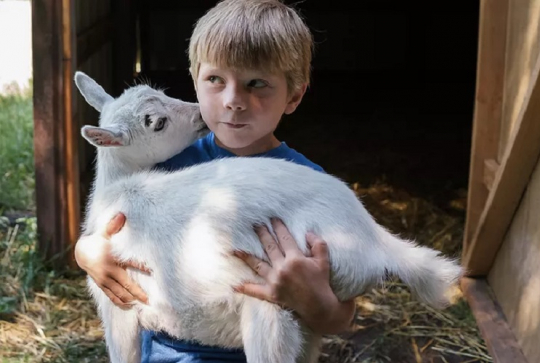 Parenthèse Nature - ferme pédagogique Bordeaux