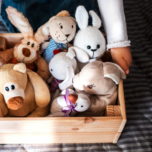 Les collectes de jouets à Lyon et aux alentours : Une caisse remplie de doudous