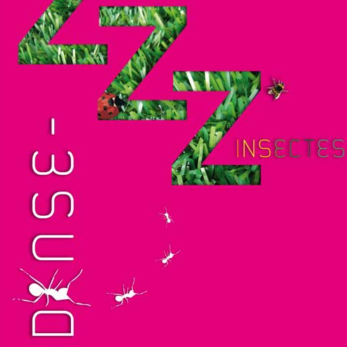 Zzz'insectes - Cie Myriam Naisy