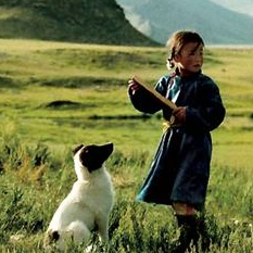 Le Chien jaune de Mongolie