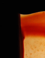 P'tit Bonhomme de chemin