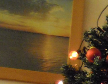 Le Sapin de Julien (et Smarties)