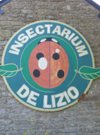 insectarium de Lizio