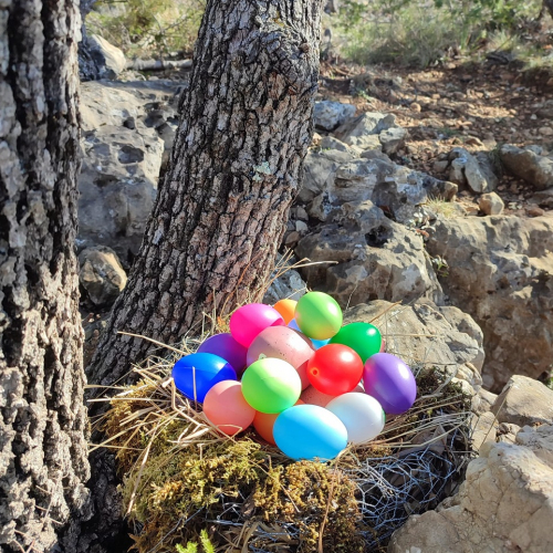 Pâques à la Grotte de Baume Obscure : chasse aux œufs