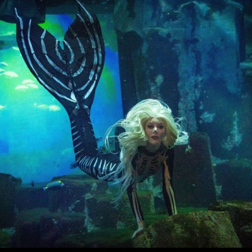 Halloween 2023 à l'Aquarium de Paris