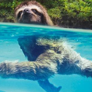 Un nouveau jour sur Terre - Affiche française