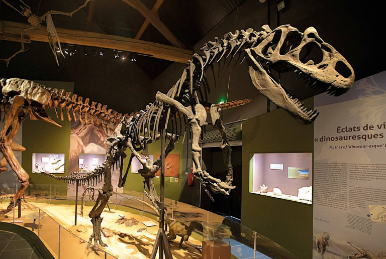 Paléopolis le parc spécial 