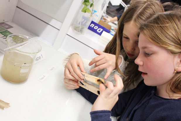 Pass - Parc d'aventures scientifiques : labo