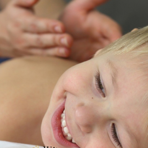 Iris & Willy SPA Toulouse