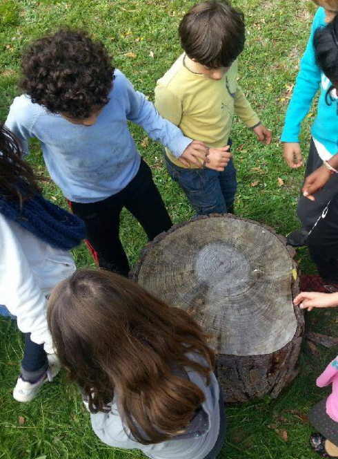 Camps de vacances "Nature & Création"