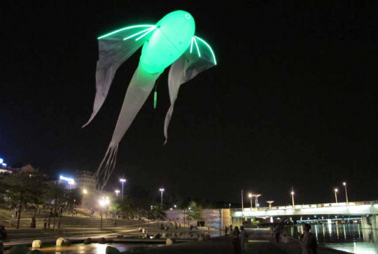 Le Bal des Luminéoles - Porté par le vent