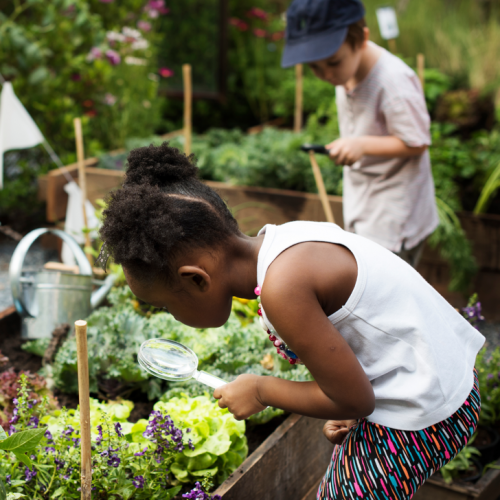 48h de l'agriculture urbaine à Marseille