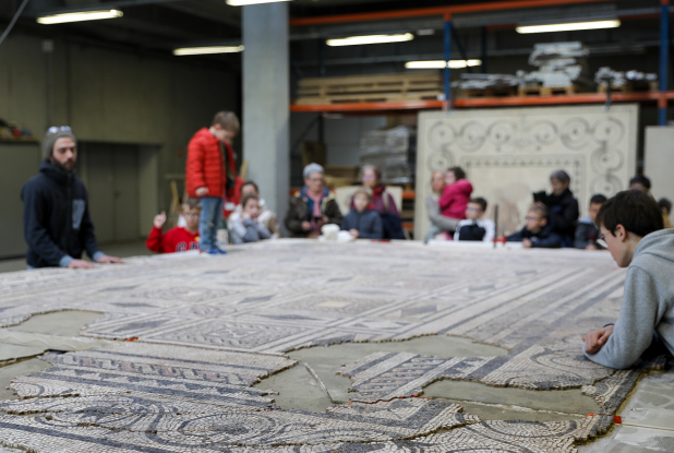 Musée gallo-romain de Saint-Romain en Gal - Mosaïque