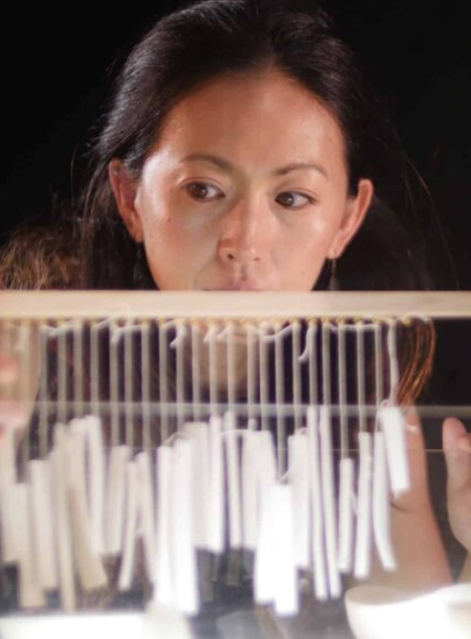 Ptitecouti Hanatsumiroir