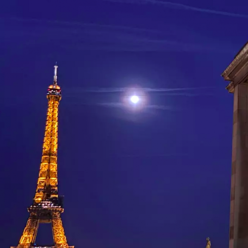 Nuit des Musées 2023 au Musée de l'Homme