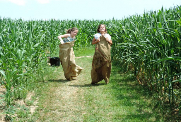Labyrinthe en Délire : course