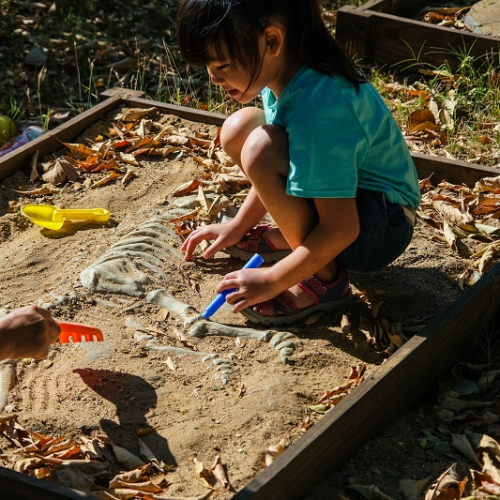 Les Journées européenne de l'archéologie 2024