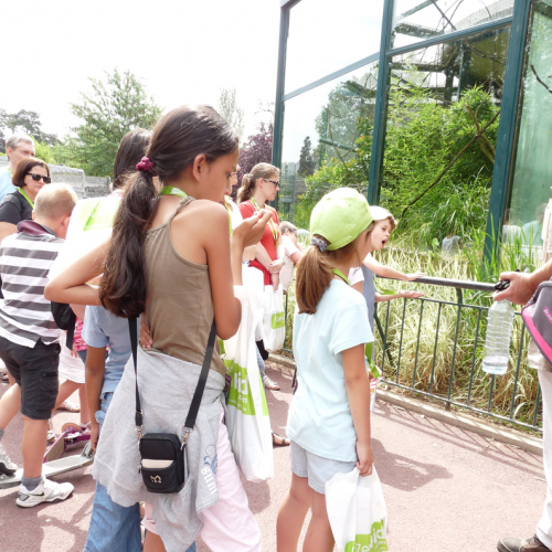Visite du zoo de Lyon avec Citizen Kid
