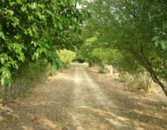 La Ferme des cabanes : nature