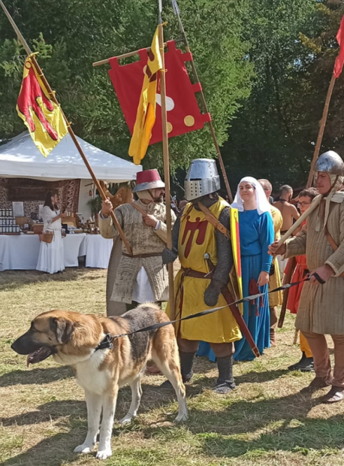 Village médiéval par l'Association Souda Avernhat