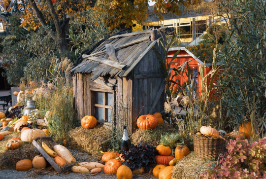 Origines d'Halloween - Maison hantée