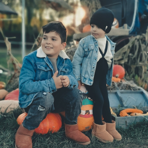 Cueillette de Beaurains