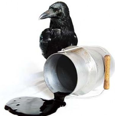 Le Jardin des Sorcières