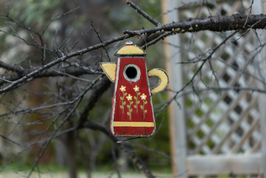 Bricolage : fabriquez une cabane à oiseaux avec les enfants - Théière nichoir