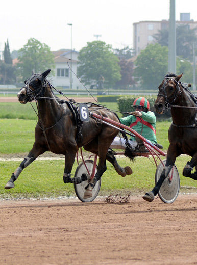 Hippodrome de Toulouse