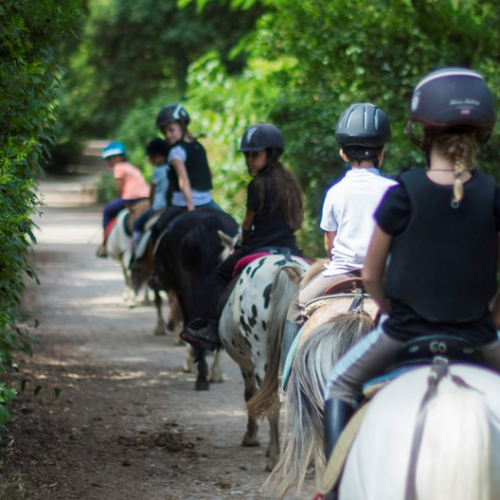 Centre équestre Marseille Pastré