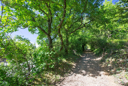 Le sentier des rapaces