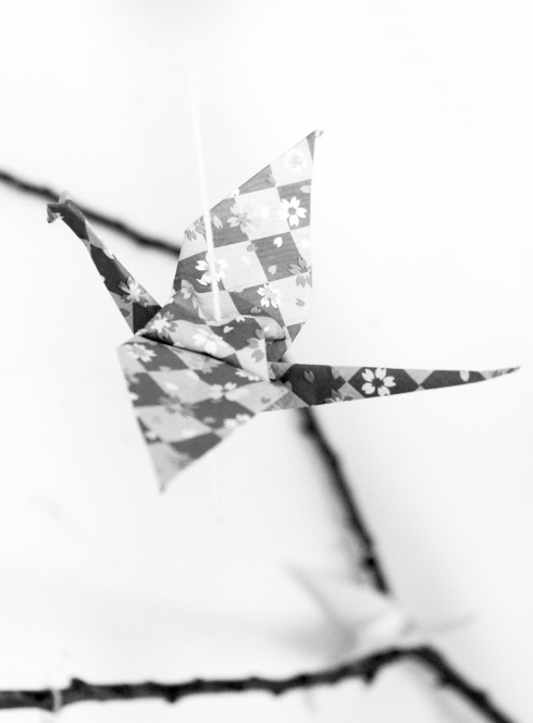 Le voyage en papier - Annie Gallay