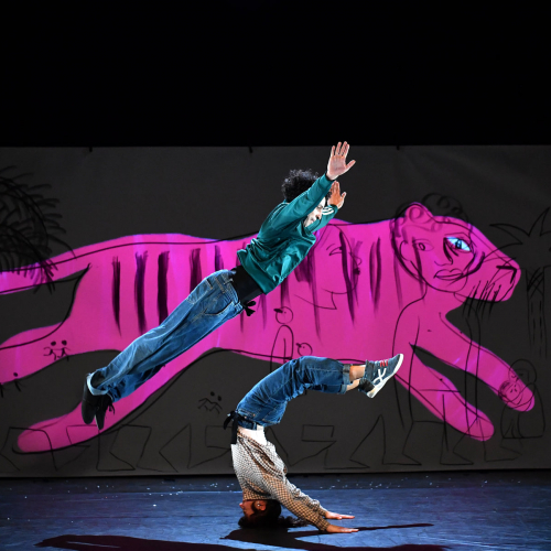 Festival Compli'cité