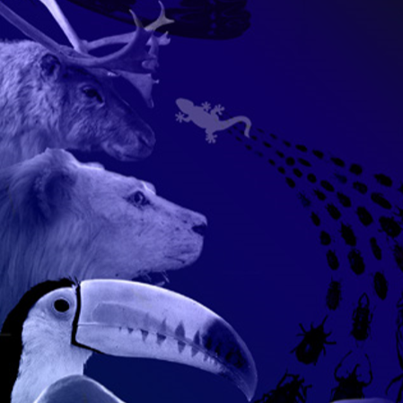 Safaris nocturnes au Muséum d’Histoire Naturelle