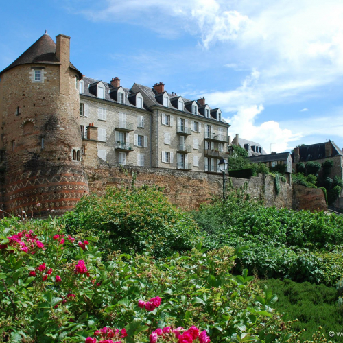 Le mans