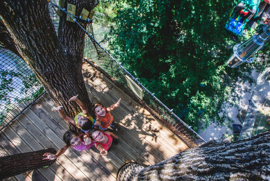 Bois des Lutins : Des enfants dans les arbres