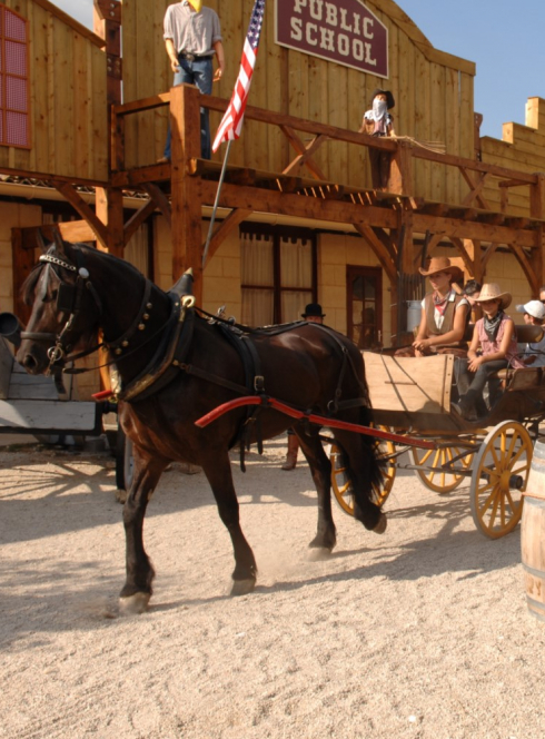 La Ferme exotique : cowboy
