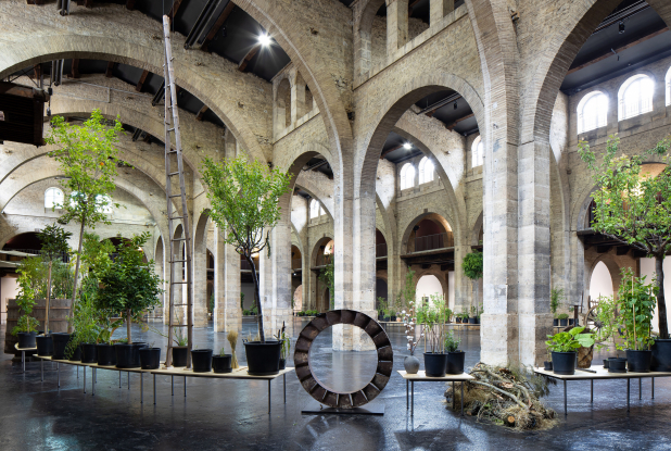 Expo Ruth Ewan - Vue d'ensemble