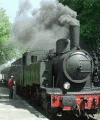 26244