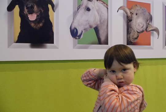 salon agriculture 2013