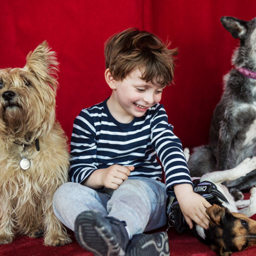 Dans la peau d'un chien - Atelier enfants La Villette
