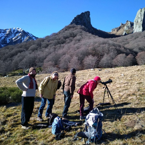 Festival Filme ton Sancy 2019