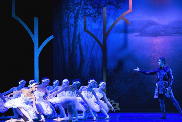 Mon Premier Lac des Cygnes